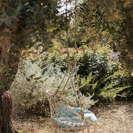 Fikus - The Apulian B&B Ceglie Messapica Ngoại thất bức ảnh