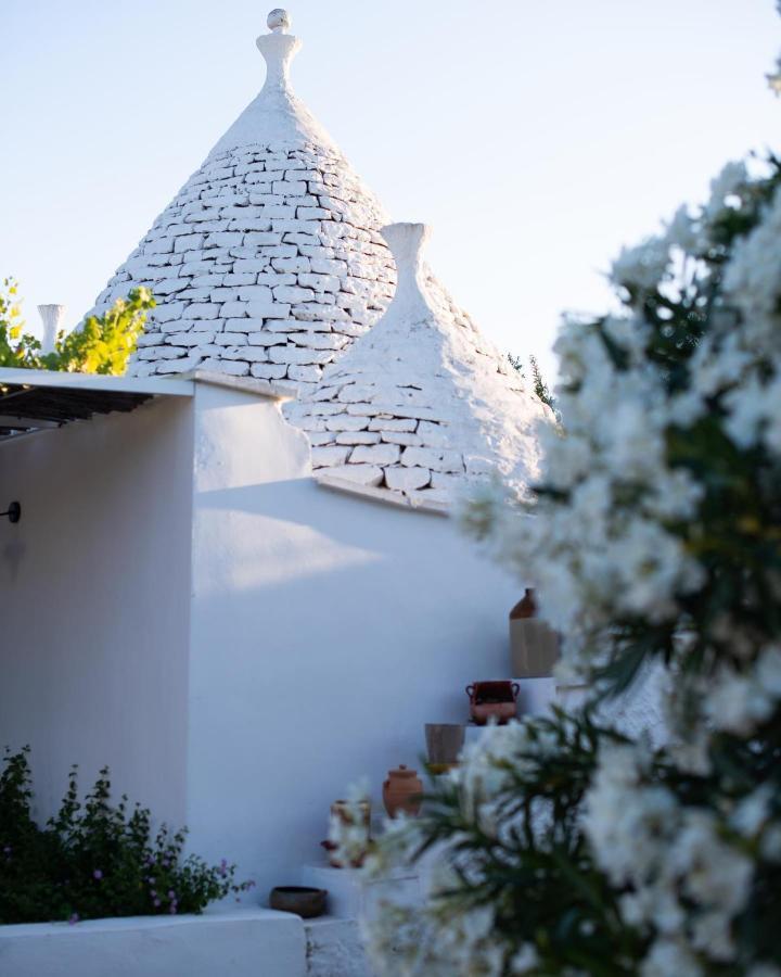 Fikus - The Apulian B&B Ceglie Messapica Ngoại thất bức ảnh