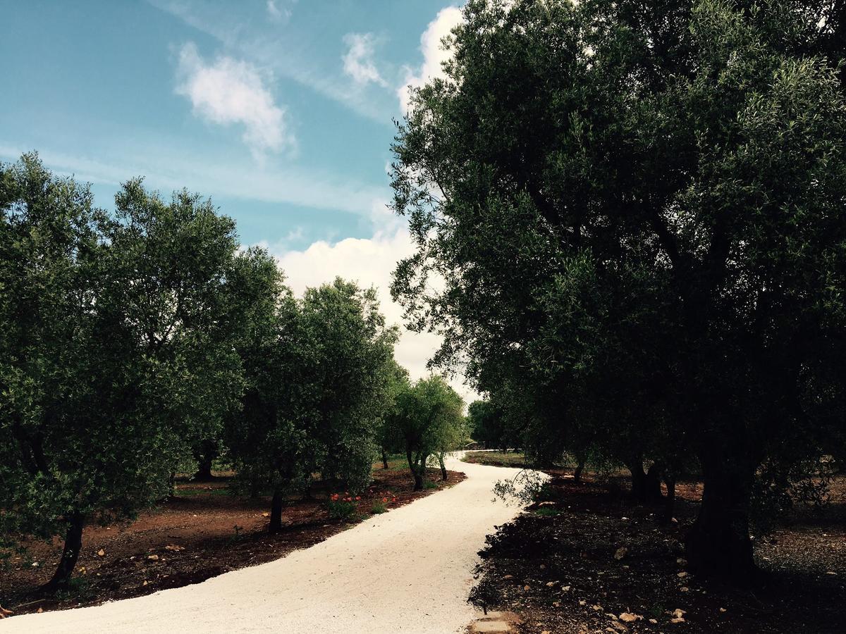 Fikus - The Apulian B&B Ceglie Messapica Ngoại thất bức ảnh