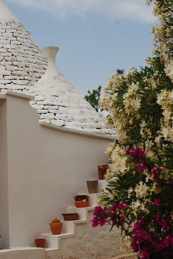 Fikus - The Apulian B&B Ceglie Messapica Ngoại thất bức ảnh